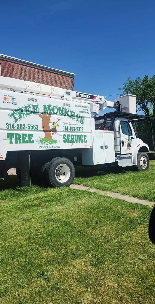 A Tree Monkeys Tree Service truck parked on a lawn featuring professional branding and a Terex lift
