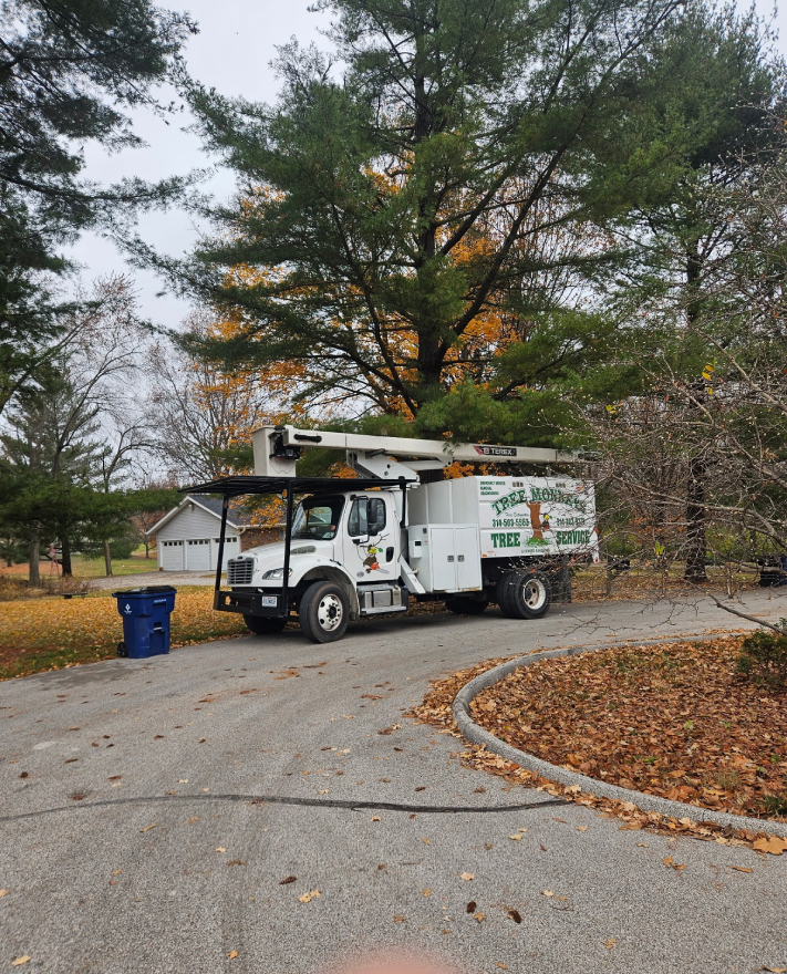 A tree service truck parked on a leaf-strewn driveway, with a tall tree and nearby residential buildings in the background