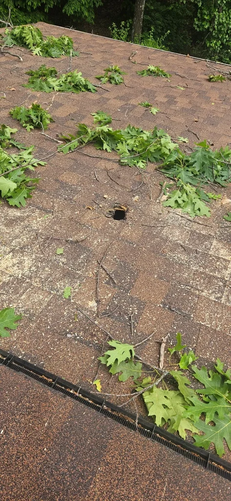A view of a shingled roof covered in fallen green leaves and small branches, featuring a small hole in the center