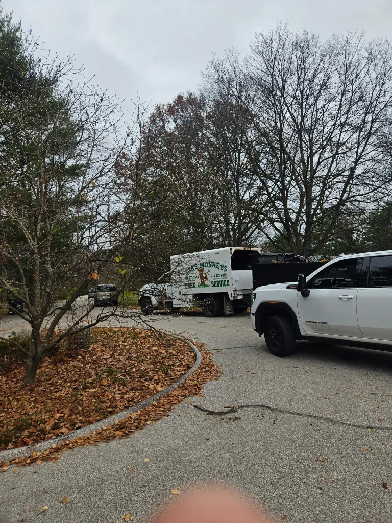 A white service truck and a white pickup truck are parked in a driveway surrounded by trees with fallen autumn leaves