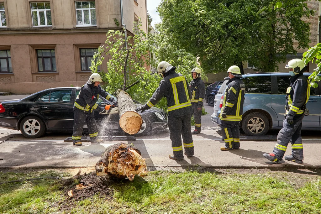 Firefighters clear a fallen tree from the road using a chainsaw, with damaged vehicles and greenery nearby