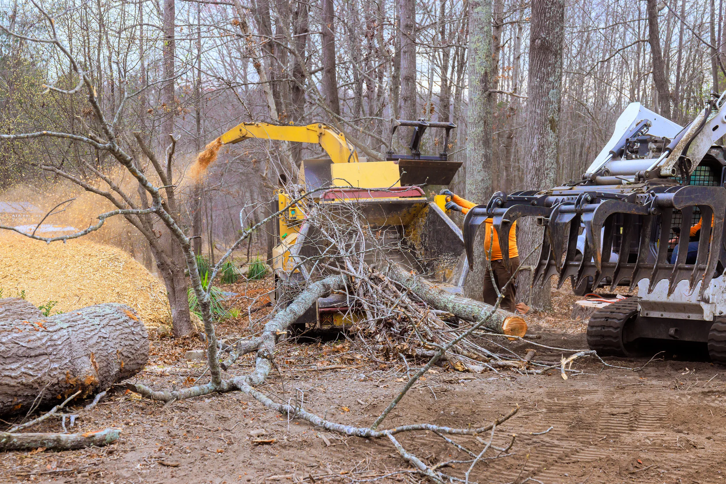 Heavy machinery clears fallen branches in a forested area with a tree grinder