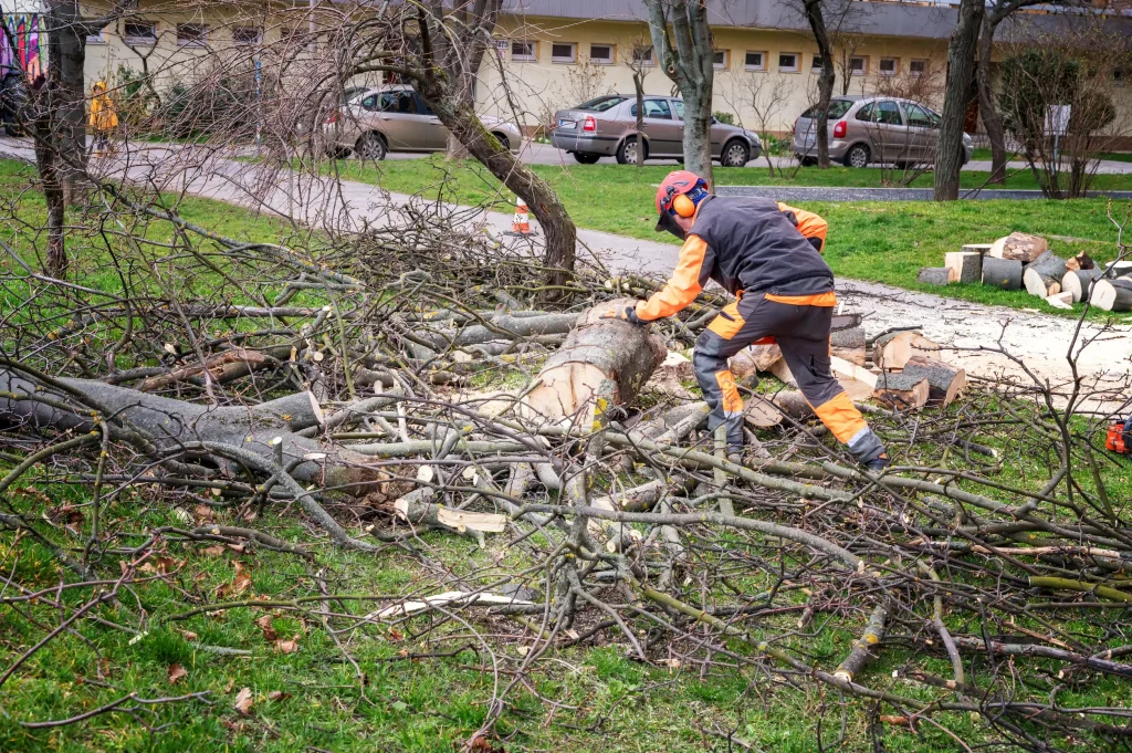 A man in overalls and a safety helmet cuts a tree trunk with a chainsaw among apartment buildings